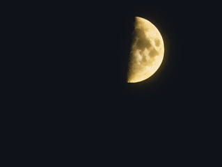 Half Moon in Night Sky. Detailed Lunar Surface, Astronomy and Space Exploration Theme, Celestial...