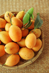 Basket of Fresh Ripe Marian Plum Fruits Called Mayongchid in Thailand