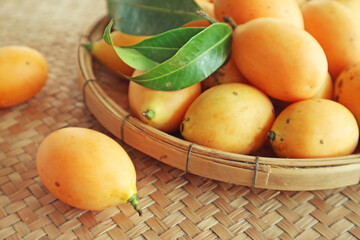 Closeup of Fresh Ripe Marian Plum Fruits Called Mayongchid in Thailand