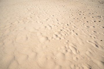 Top view of Fine sand texture natural background Summer and travel background. High quality background