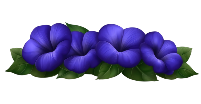 Vibrant violet flowers in a horizontal arrangement