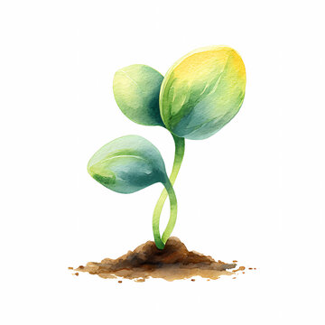 watercolor sprout growing from soil clip art preview