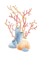 Watercolor coral reef illustration with red and yellow coral branches, tube sponges, green sea sponges, and stone. Ideal for marine-themed designs, prints, and educational projects.
