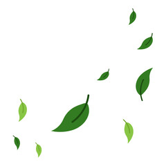 Flying Leaves Illustration