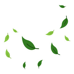 Flying Leaves Illustration