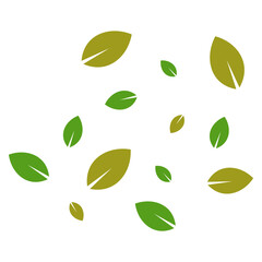 Flying Leaves Illustration