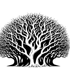 Black Tree Branch Silhouettes Bare Branch Vector Illustrations