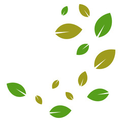 Flying Leaves Illustration