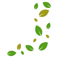 Flying Leaves Illustration
