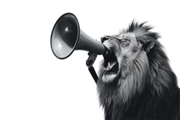 Black and white lion illustration with megaphone brings fierce energy to posters and creative content