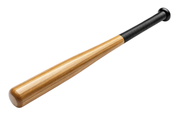 wooden baseball bat