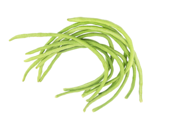 Fresh green yardlong bean, a healthy vegetable and organic food ingredient, is isolated on a white background