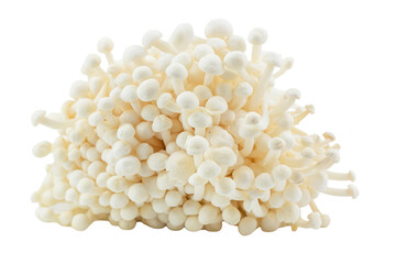Enoki Mushroom Isolated on a white backbackground