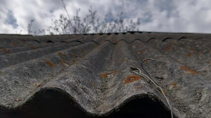 A roof with a rusty metal roofing sheet on it - Powered by Adobe