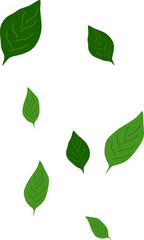 Leaves Flying on Wind