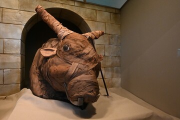 Mummified bulls head from the time of the pharaohs.