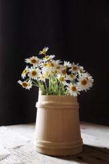 Background with daisies, white chamomile flowers