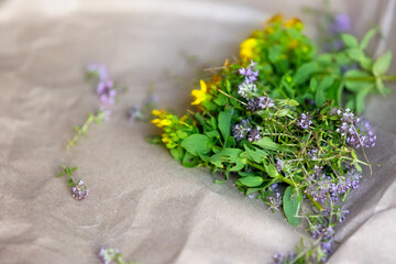 St Johns wort and Thyme fresh flowers drying