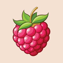 raspberry vector illustration, vector illustration of ripe raspberries