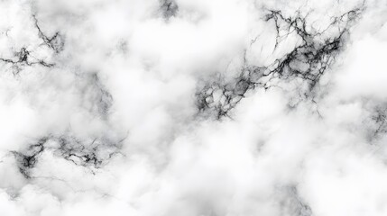 Intricate white and black marble design pattern.