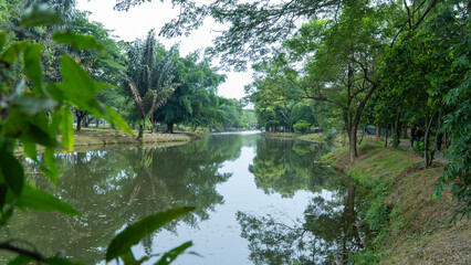 A peaceful park scene with a winding waterway and dense greenery on both sides