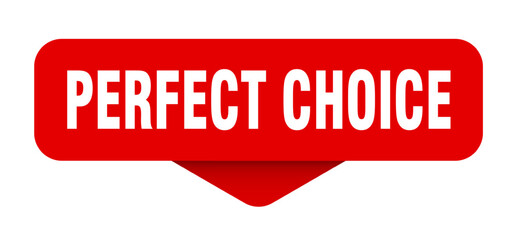 perfect choice sticker. perfect choice sign on transparent background