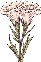 Obraz premium Delicate, pastel-colored flowers with detailed foliage