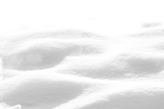 Fresh snow-covered landscape