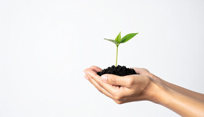 Hands Holding a Green Plant on White Background – Eco Sustainability Concept