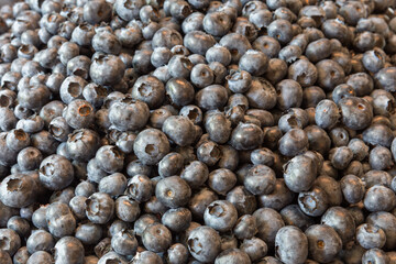 Close-up of fresh blueberries, filling the frame with their rich indigo hues and natural imperfections. Perfect for healthy eating or organic food campaigns.