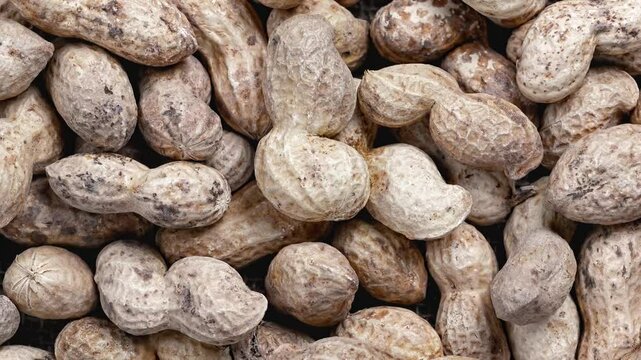 Organic peanuts in shell . Heap of peanut closeup.