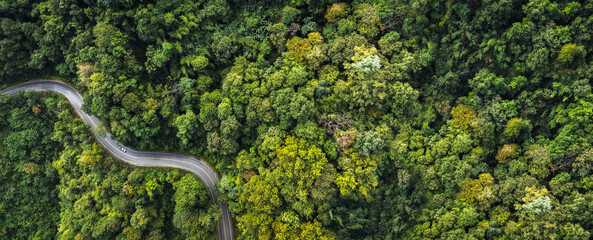 Electric cars to protect the environment and transportation road of Rainforest ecosystem and healthy environment concept , road curve construction up to mountain, panoramic view