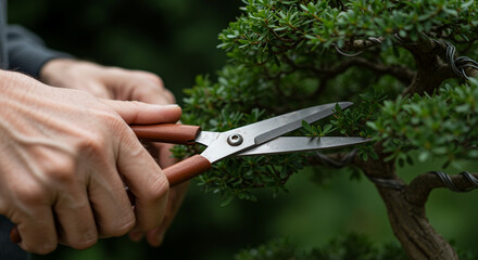 Fototapeta premium Close-up of hands trimming bonsai tree with precision shears, gardening hobby 