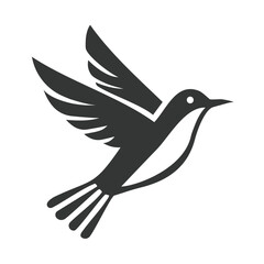 Adorable Bird Vector with Transparent