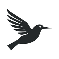 Silhouette of Flying Birds