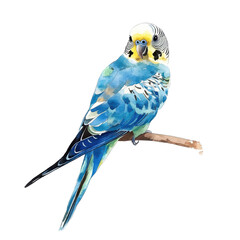 Obraz premium Colorful parakeet perched on a branch, showcasing vibrant feathers in a small, artistic illustration