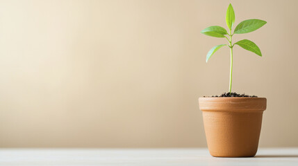 Fototapeta premium sprouting plant in terracotta pot symbolizes growth and renewal, thriving in rich soil
