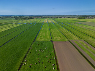 Aerial view of green farmlands with grazing cows, freshly plowed fields, and distant wind turbines...