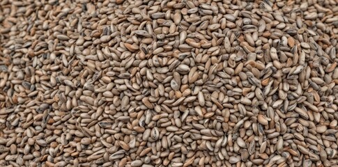 A mound of speckled sunflower seeds, ready for planting or snacking , botany, harvest, soil
