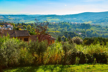 Obraz premium Tuscan autumn panoramic landscape with vineyards, cypress trees, houses in Tuscany, Italy, Europe