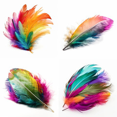Colorful bird feathers arranged in a grid pattern.