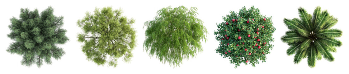 PNG Top view diverse tree foliage, element set on transparent background