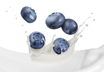 Milk splash and fresh blueberries in air on white background