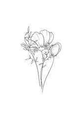Sketch illustration in line art style elegant bouquet with wild flowers and herbs. Suitable for coloring books, cards, packaging and decor.