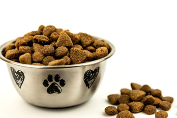 Metal plate filled with pet food. Part of the dry food lies on white background