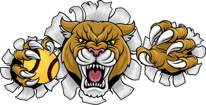 Cougar, panther, mountain lion or puma wildcat cat softball sports team mascot holding a ball