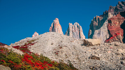 Magical colorful sunrise at major peaks, standing high towers, surrounded by austral forests in Torres del Paine National Park, Patagonia, Chile