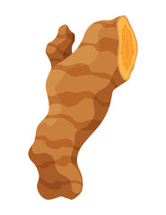 Turmeric root plant, icon. Natural flavor, herbal spice, hand drawn sketch illustration. Detox food ingredient. Vector illustration isolated on white background