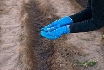 Close up hands hold mixed chemical fertilizer. Concept; chemical fertilizer production use in...