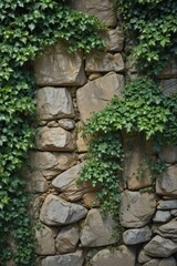 Ancient stone, ivy-covered, weathered texture, plant life, texture, stone wall